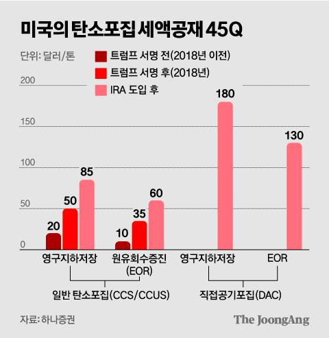 김영희 디자이너