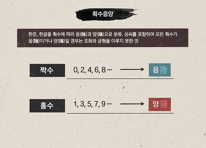 그래픽 최수아