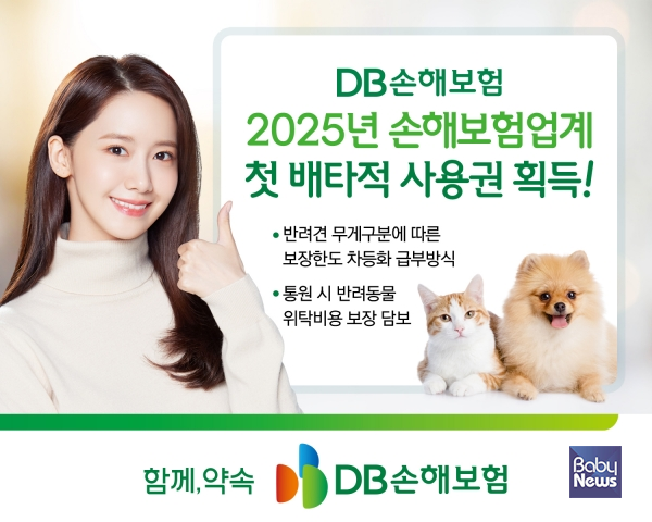 DB손해보험, 펫보험 2개 항목 6개월 배타적 사용권 획득. ⓒDB손해보험