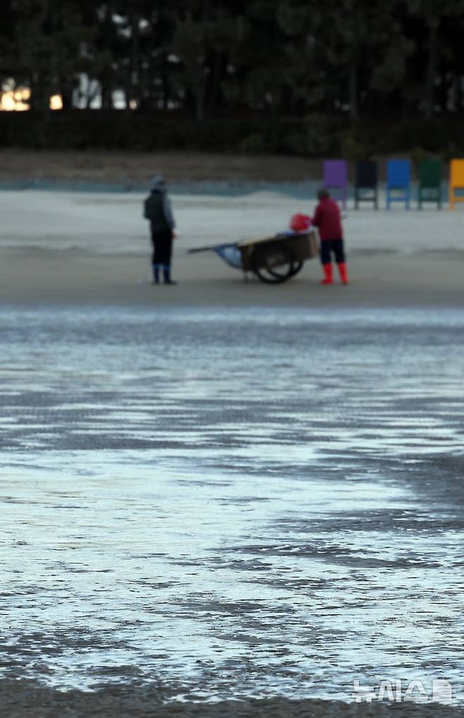 [부산=뉴시스] 하경민 기자 = 전국에 한파가 덮친 4일 부산 사하구 다대포해수욕장 백사장 일부가 얼어 있다. 2025.02.04. yulnetphoto@newsis.com