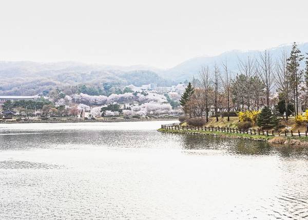 출처: PIXABAY
