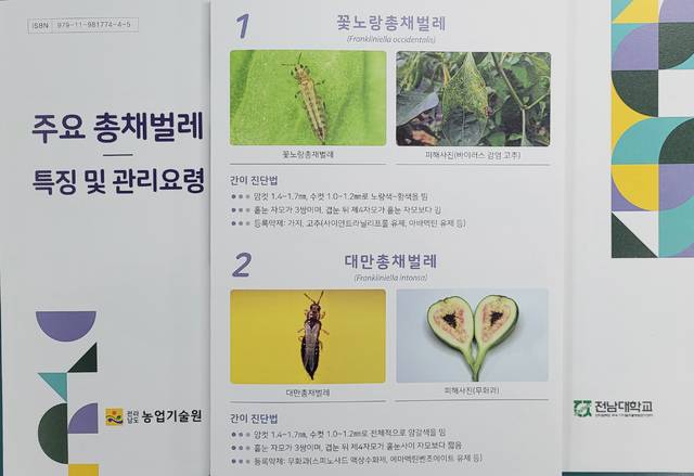 전라남도농업기술원이 제작한 ‘주요 총채벌레의 특징 및 관리요령’ 리플릿.