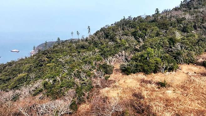 흑산공항의 활주로가 들어서게 될 부지