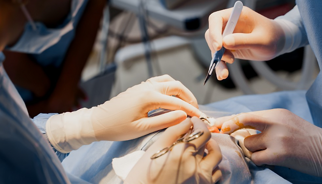 사진 = 게티이미지뱅크