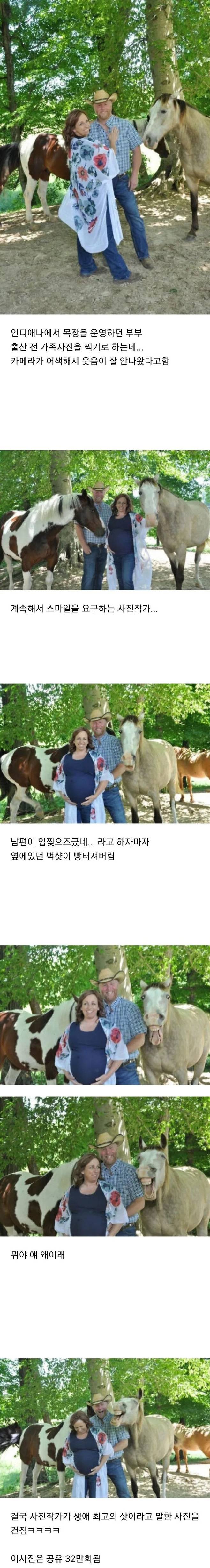 가족사진 찍는데 말이 빵 터짐.