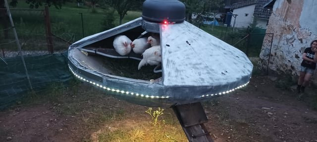 IMG_2181.jpeg 외국의 UFO형 닭장들