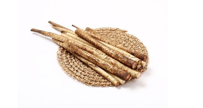 　◇우엉. 이미지=국립농업과학원