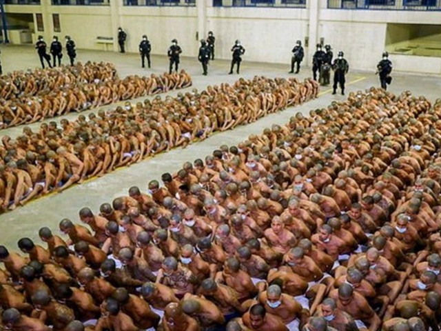 image.png 새로운 사업모델 범죄자를 수입하겠다는 나라가 있다