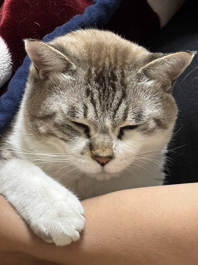 우리 몽실이 보고가세용