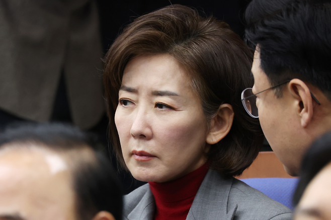 나경원 국민의힘 의원 [연합]