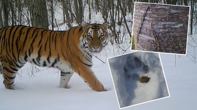 SBS ‘궁금한 이야기 Y’