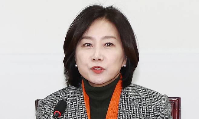 허은아 개혁신당 대표. 뉴스1