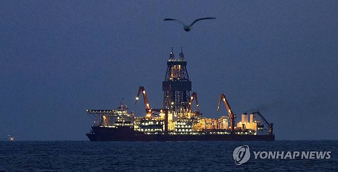 대왕고래 앞날은 [연합뉴스 자료사진]