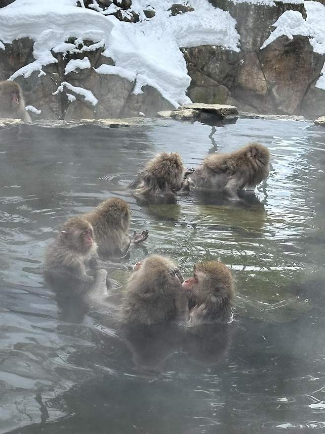 viewimage.php?id=23b2db27ebc637&no=24b0d769e1d32ca73de884fa1bd6253194dd6d0fcd22fa9acf7ca3b80b2032abde92fb2b7d2f04bb3122f93202451e79b319a22585c3902b9126e75c0cb018f8023977