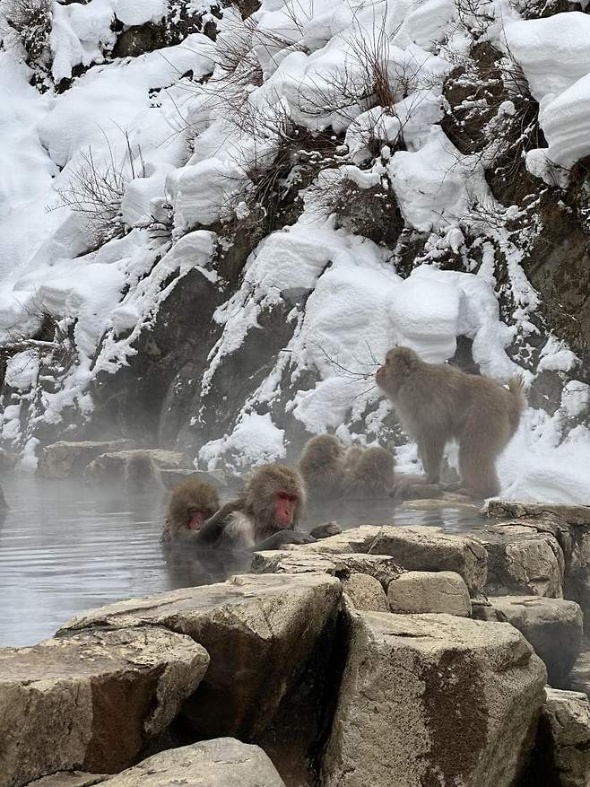 viewimage.php?id=23b2db27ebc637&no=24b0d769e1d32ca73de884fa1bd6253194dd6d0fcd22fa9acf7ca3b80b2032abde92fb2b7d2f04bb3122f93202451e79b319a22585c3907dc877ed0c54b14cf88fe667