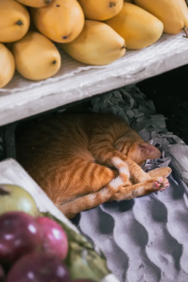 098ef376b08569f220a8d3b706f11a392c4f27eb13a903096825