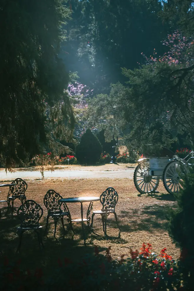 098ef376b08a60f520a8d3b706f11a399bd4a65a873fa5c2de0f