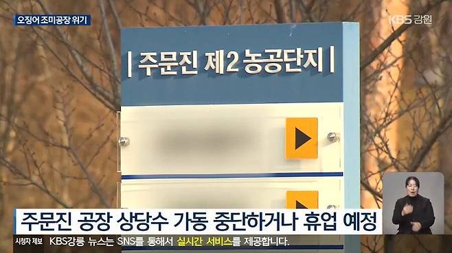 진미채, 오징어 안주, 등등 오징어 가공류 근황 ㄷㄷ.jpg