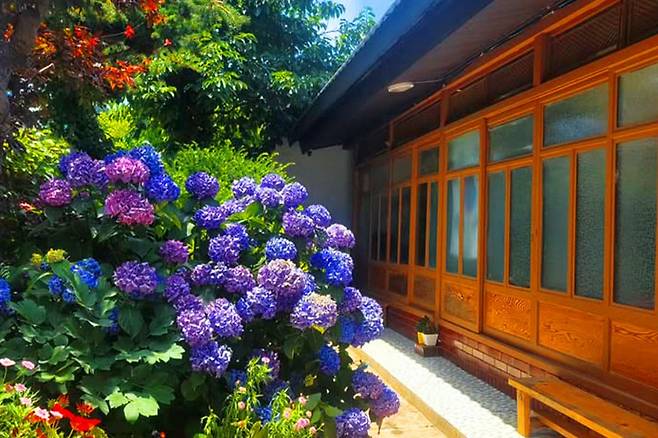 게스트 하우스 이웃 풍경