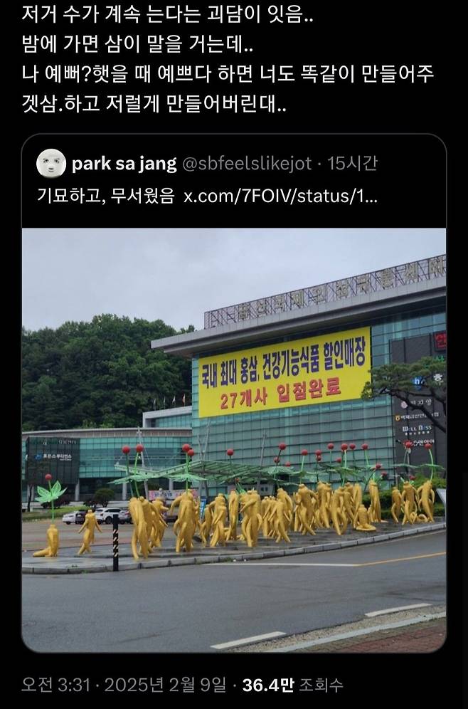 금산 인삼 괴담
