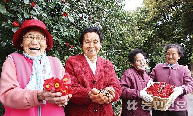 동백꽃과 씨앗을 주워 활짝 웃고 있는 마을 할머니들.