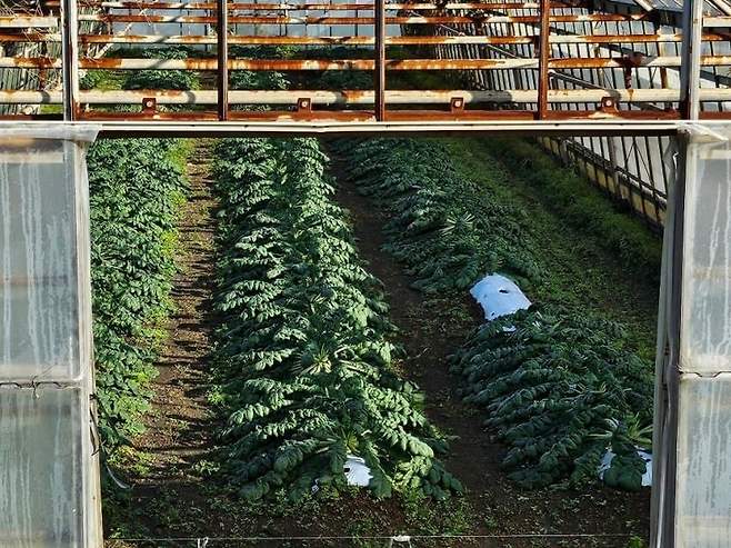 28b9d932da836ff537ee84ed4e857c6482ea35de8d54854d9948709f26b31d010fda