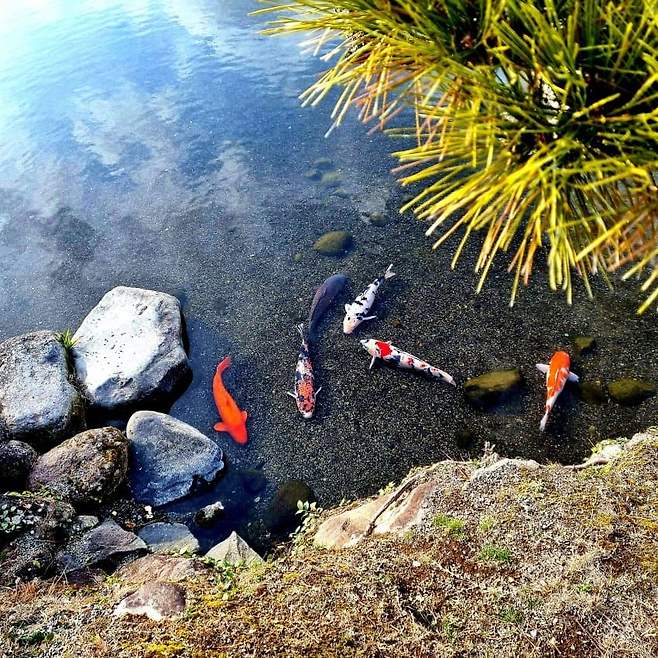 7fed8273b58068f051ee80e4468371739e680d50e6ebe089ef2b066906662b5d