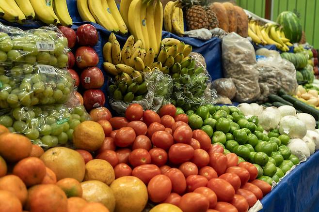 사진=게티이미지코리아.