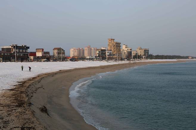 강원도 강릉 안목해변 / 사진 = 한국관광공사