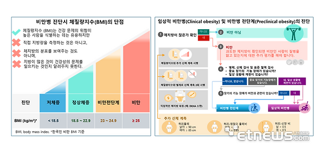 비만병 진단시 BMI 단점 및 단계별 비만명 진단