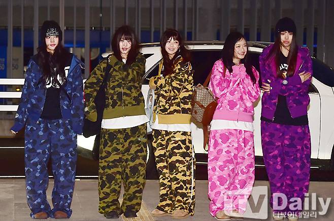 티브이데일리 포토