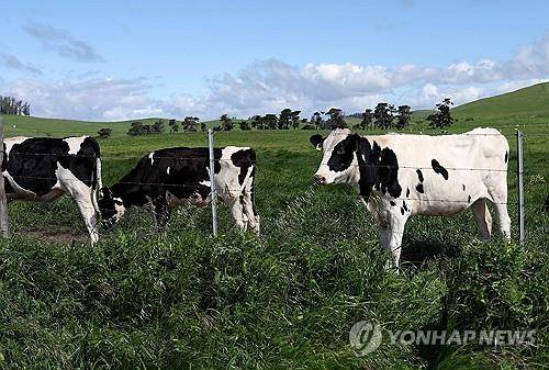 미국의 한 목장 모습 [게티 이미지=연합뉴스 자료사진. 재판매 및 DB 금지]