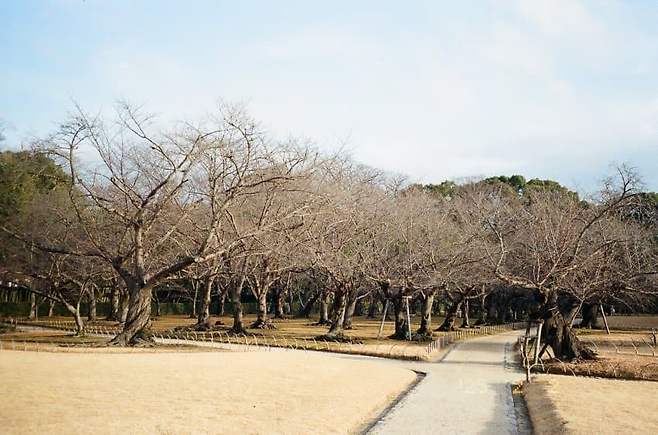 7ded8174bc8b60f63eef84e458db343aeb11488db683f726d9a7bce2