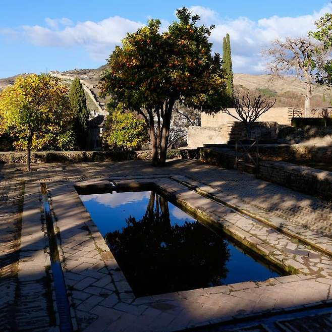 098ef300bc876aff26ee9ffb1cc1231db7a227ec4f8972b8163d60e7