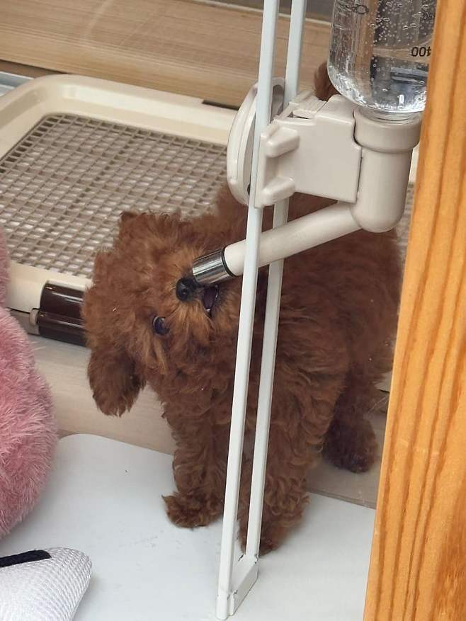 7feaf47eb1851e87239d8491459c706e9cee015caa5e5d4791ea4fa165dd8a95ea2b3021644a535fc5fa9fb14bc36a67e4fb3319c9