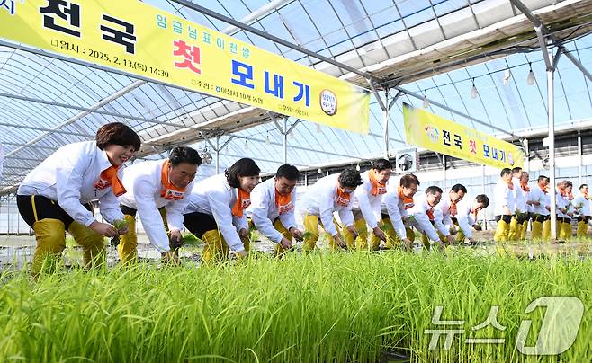 13일 오후 경기 이천시 호법면 한 비닐하우스 논에서 열린 '전국 첫 모내기' 행사에서 김경희 이천시장을 비롯한 참석자들이 올해 첫 모내기를 하고 있다. 이날 모내기에 사용된 벼 품종은 진광벼로 6월에 수확 예정이다. (공동취재) 2025.2.13/뉴스1 ⓒ News1 김영운 기자