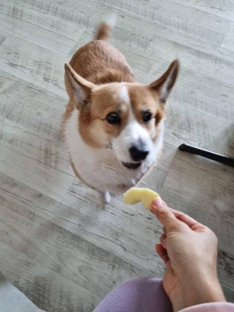 7ced8076b58360f23aea98bf06d60403d4e2f6fdf27f22685099