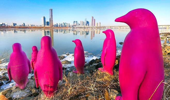 한파에 얼어붙은 한강 둔치에 펭귄 조형물이 서 있습니다. 연일 계속되는 강추위에 펭귄들은 '원래 살던 곳이 더 따뜻하겠어'라고 생각할지도 모른다는 상상을 해봅니다.  한주형 기자