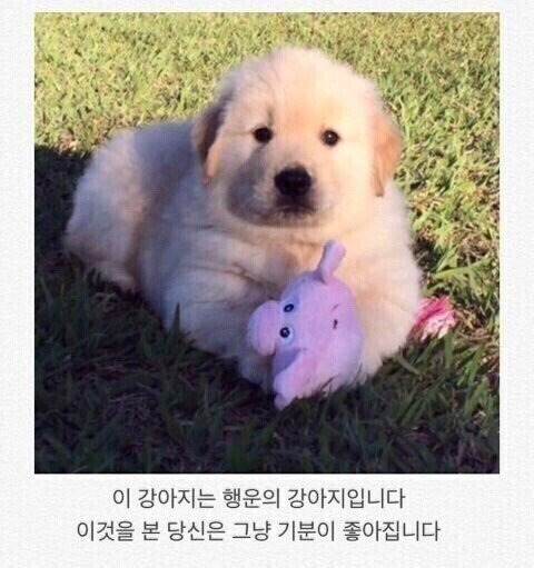 기분 좋은하루 보내세요 ^^