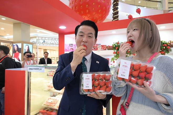 인도네시아에서 열리고 있는 '2025논산농식품 해외박람회'를 찾은 인기유튜브크리에이터 쯔양과 백성현논산시장이 논산킹스베리를 맛보고있다./사진=논산시