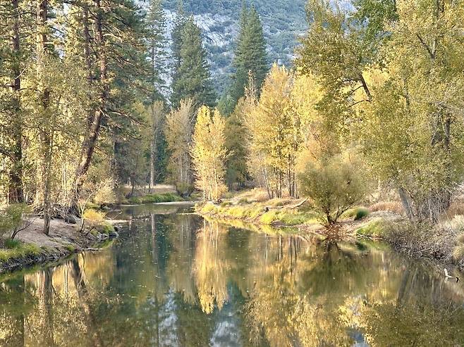 KakaoTalk_20250215_184158873.jpg [여행기]44일간 미국여행 13 / 요세미티