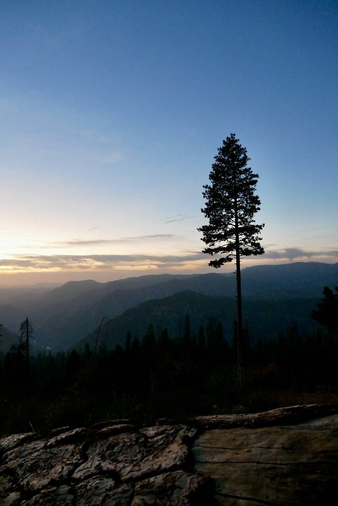 KakaoTalk_20250215_175842825_07.jpg [여행기]44일간 미국여행 13 / 요세미티