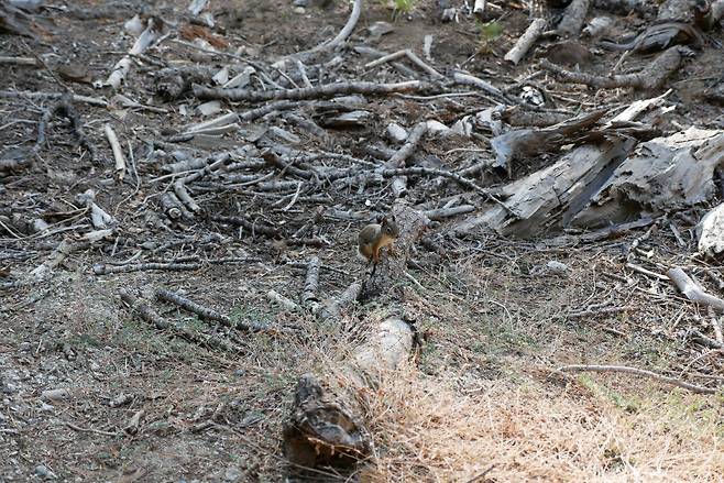 KakaoTalk_20250215_180445713_01.jpg [여행기]44일간 미국여행 14 / 요세미티