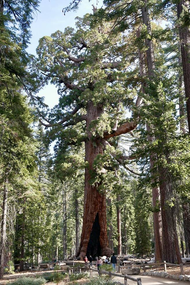 KakaoTalk_20250215_191803928.jpg [여행기]44일간 미국여행 14 / 요세미티