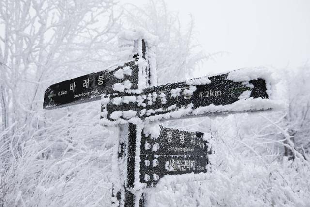 이정표가 안 보일 정도로 눈이 얼어붙었다. ⓒ박준규