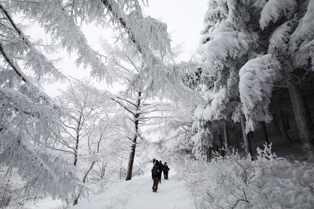 정상에 가까워질수록 점점 환상적인 설경이 펼쳐진다. ⓒ박준규