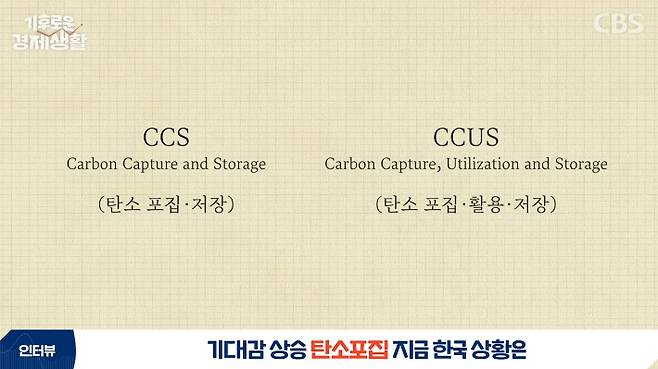CBS 경제연구실 유튜브 캡처