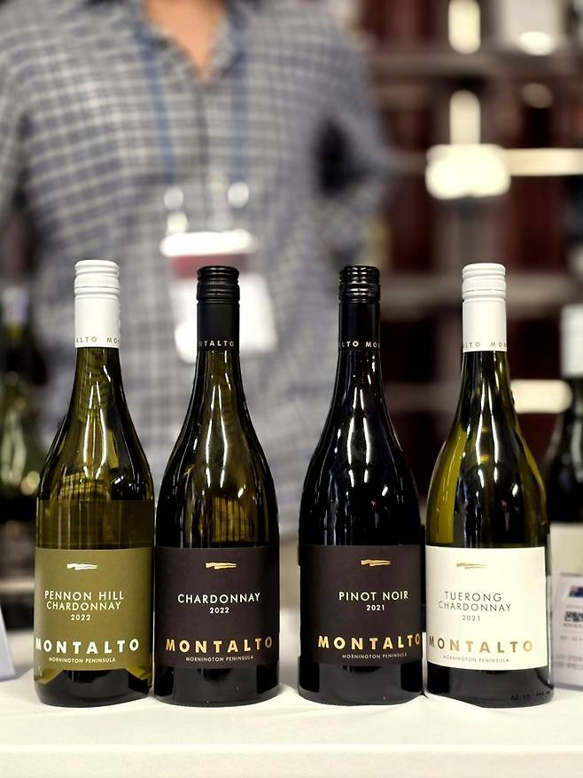 몬탈토 와인.&nbsp; 최현태 기자