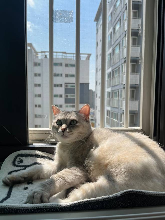 써스컷이 집 한쪽에서 휴식하고 있다. ⓒ남형도 제공