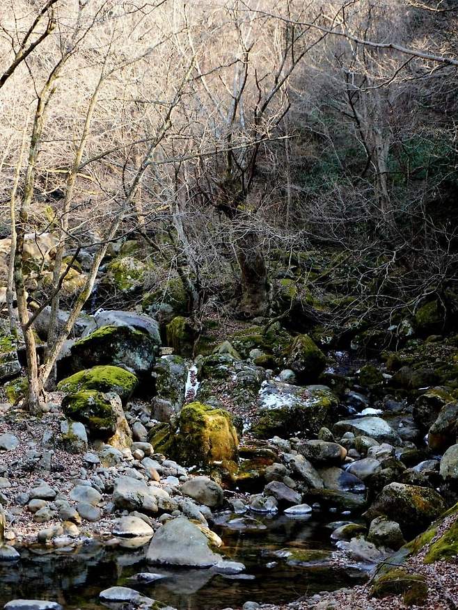 098ef376b5836cf72095e69236ef203eb20a8c20686c58e1e31e